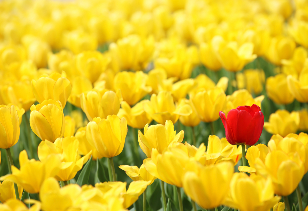 You Are Special and So Is Your Personal Branding Strategy