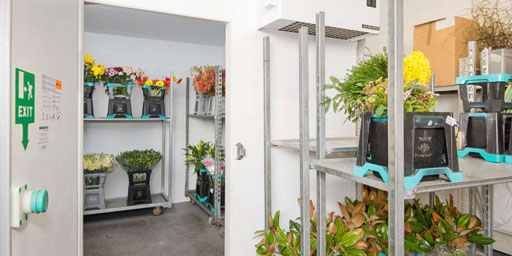 Flowers need a great fridge system too