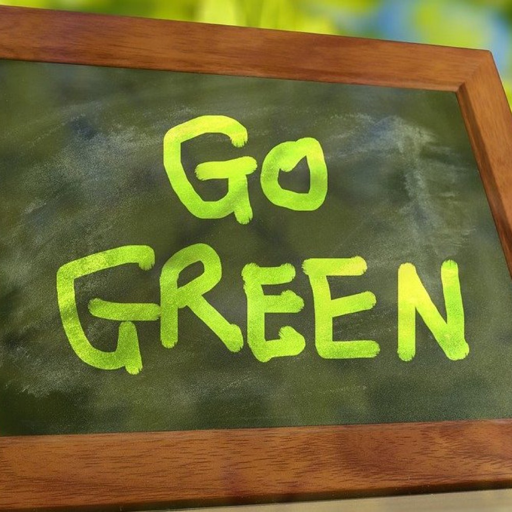 Going Green, Saving Green: Energy Efficiency Tips for Restaurants
