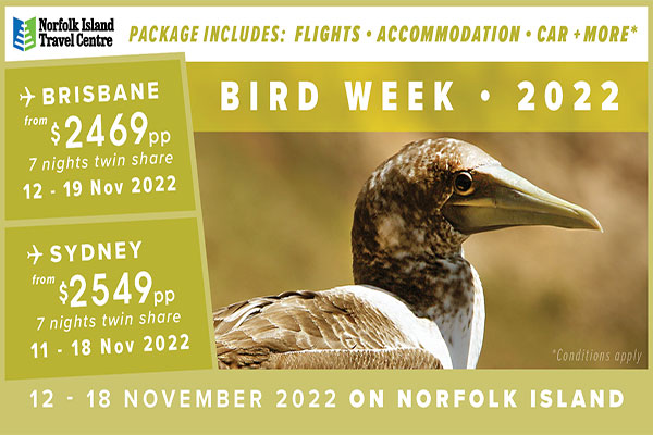 Norfolk Island Bird Week 2022
