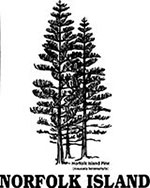 We Print to Order - Norfolk Island Pine