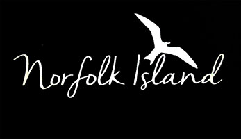 We Print to Order - Norfolk island with Tern Design