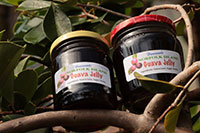 Porpay Jelly (Guava Jam)