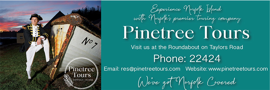 Pinetree Tours
