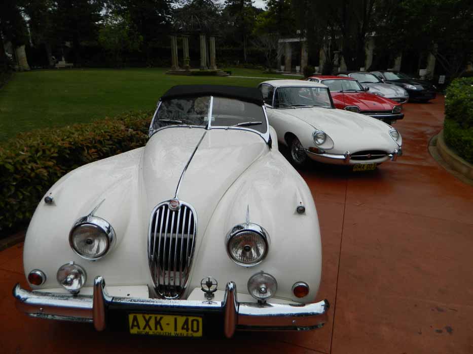 2014-Lunch Celebrating the 50th Anniversary of the JDCA