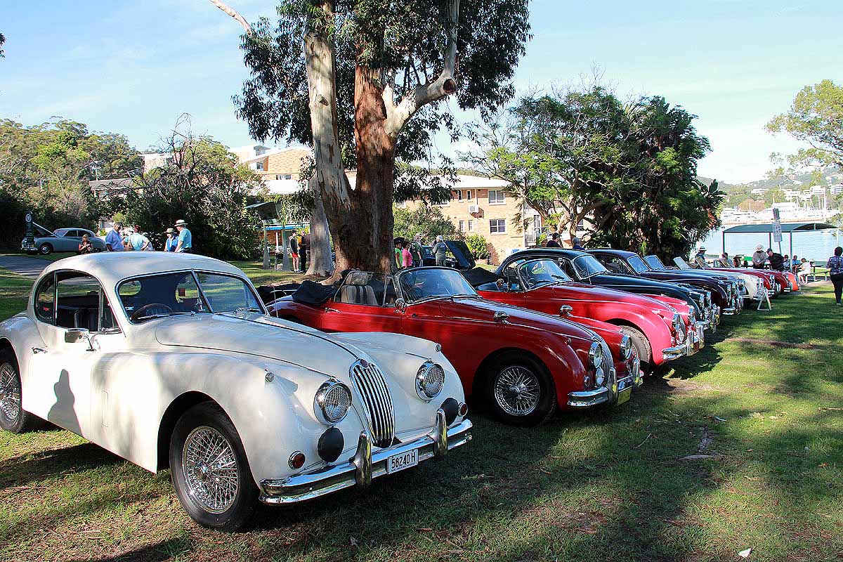 2017 Jaguar National Rally- Display