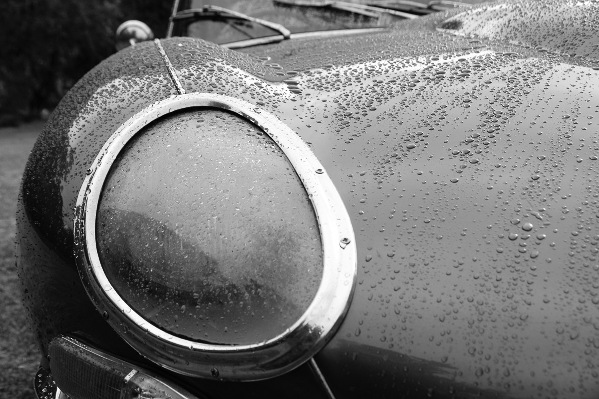 2020 July club photo competition winners