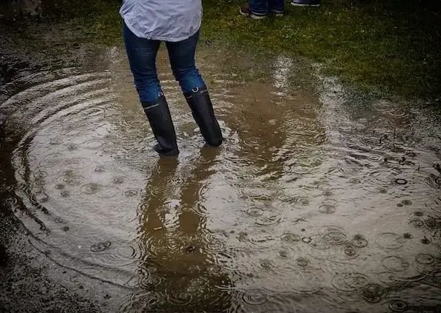 flooded lawn