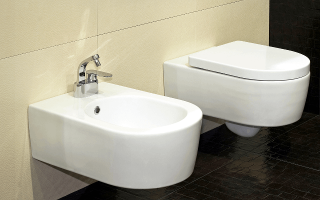 In wall toilet and bidet