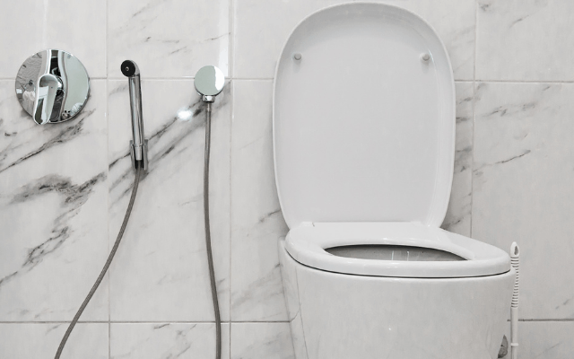 Handlheld Bidet Installation by Sydney Plumbers