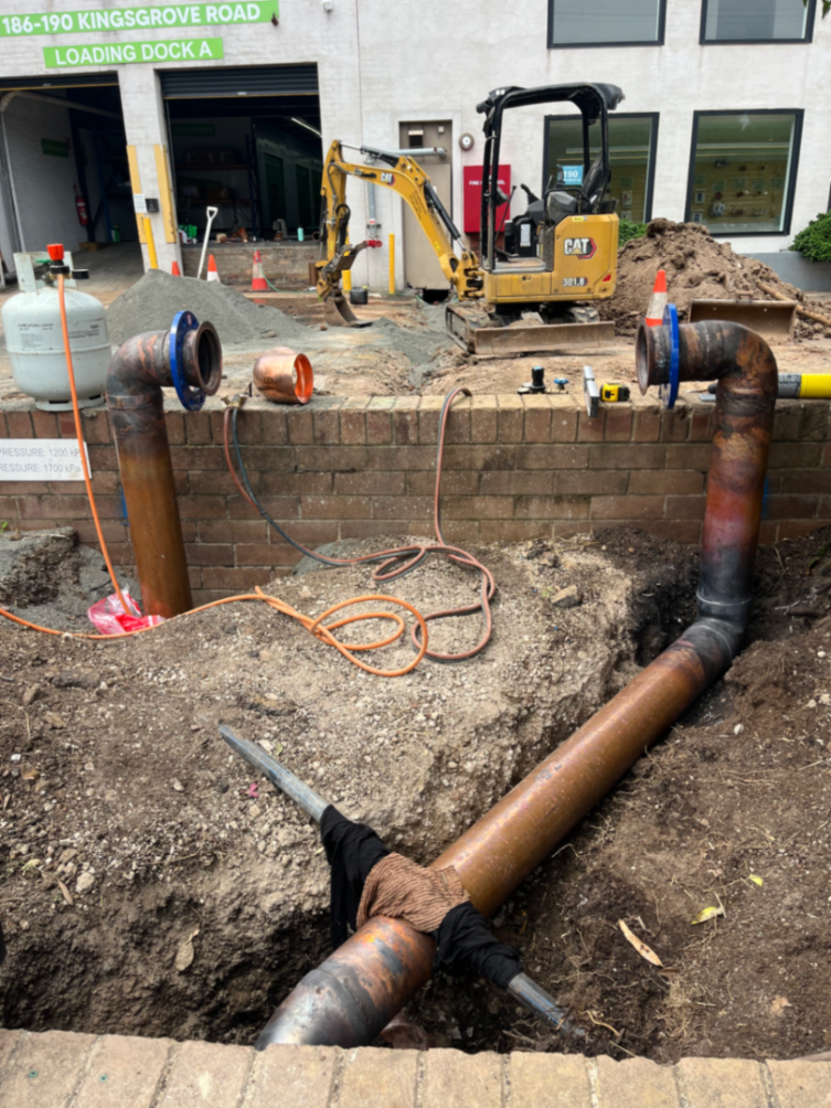 Alexandria Mandible st - fire hydrant supply repair