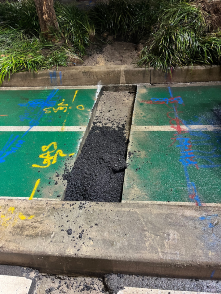 Alexandria Mandible st - fire hydrant supply repair