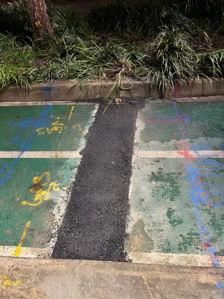 Alexandria Mandible st - fire hydrant supply repair