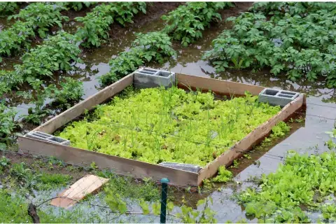 waterlogged garden from flooding