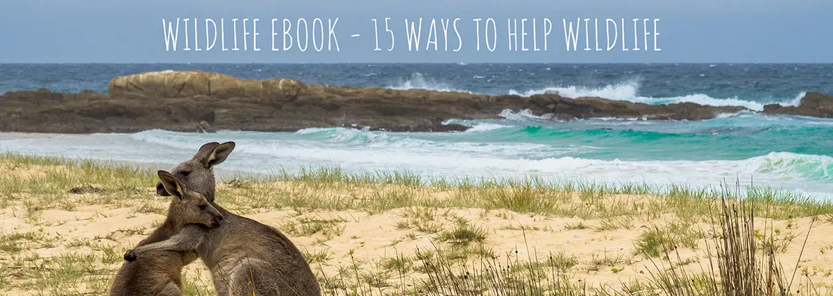 15 Ways to Help Wildlife