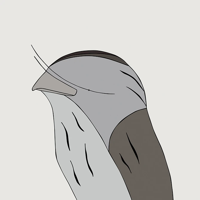 Egg Picnic Tawny Frogmouth Print