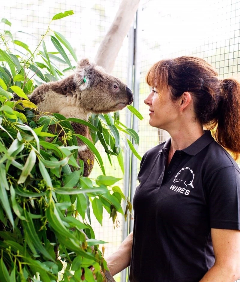 Volunteering with WIRES