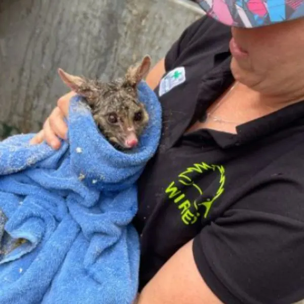 Help wildlife every day