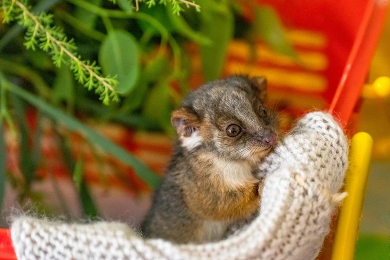 Donate Goods to WIRES