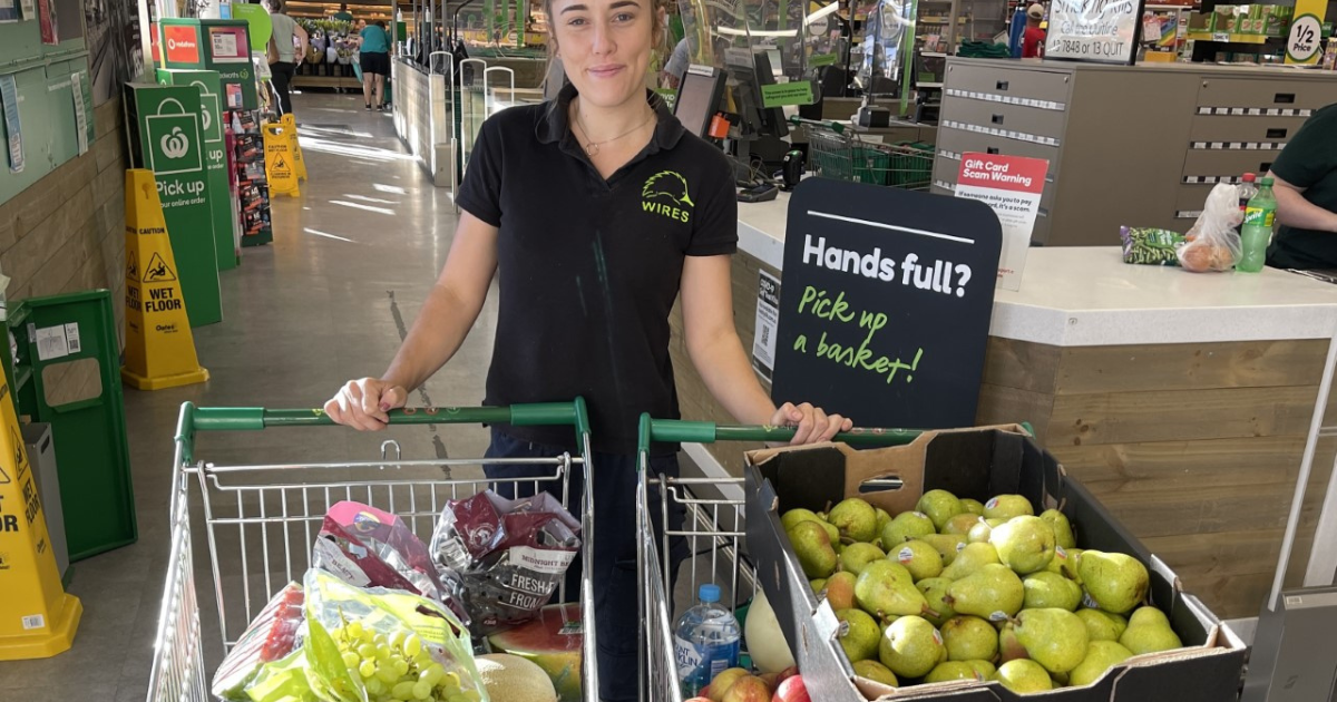 Celebrating World Earth Day: The History of Environmental Action and Collaboration