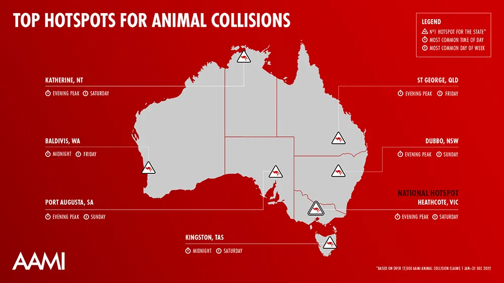 Wildlife Road Collisions Unveiled