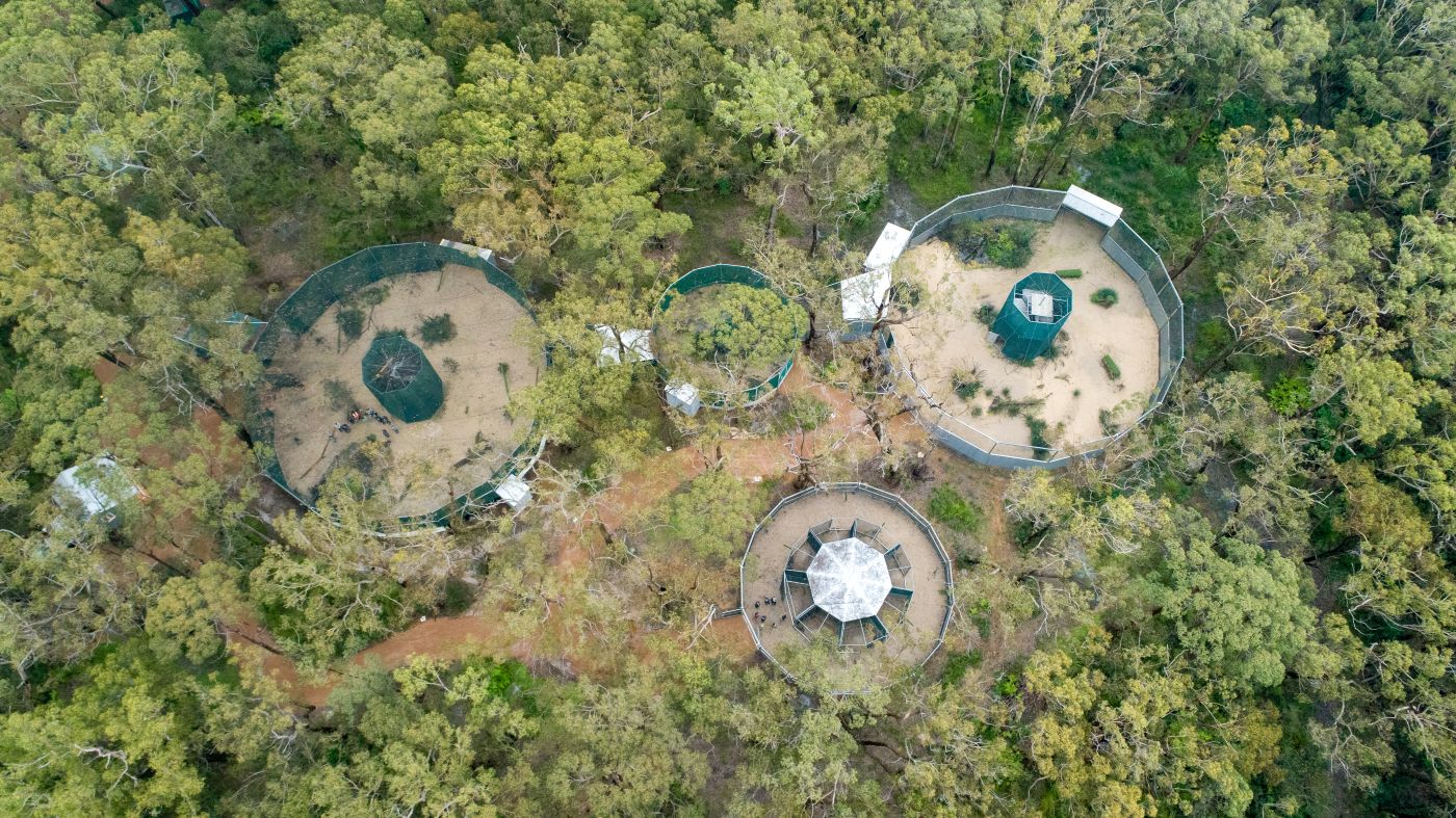 WIRES launches its first wildlife rehabilitation centre - Mullyang