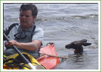News - Flood Rescue 