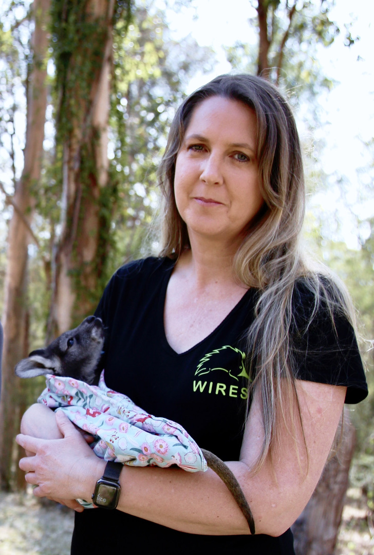 Why become a wildlife carer?