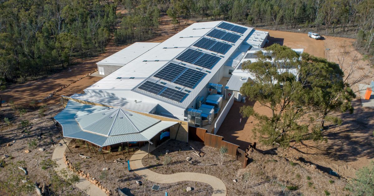 WIRES and Taronga Team Up To Deliver World-Leading Platypus Facilities