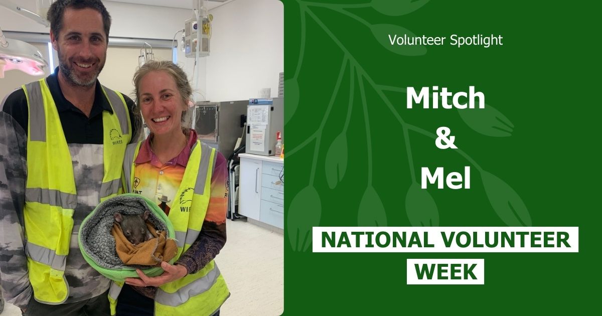 National Volunteer Week 2024