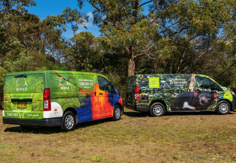 Preparing for Elevated Bushfire Season