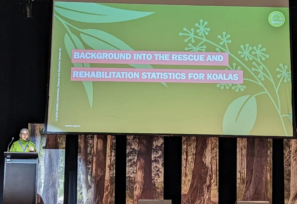 National Koala Conference