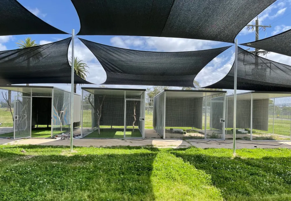 WIRES opens Greater Sydney’s largest purpose-built Koala Rehabilitation Centre