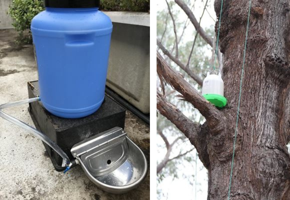 Emergency Food, Water and Shelter for Wildlife