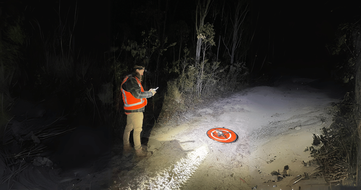 Drones Used to Monitor Post-Release Outcomes of Koalas 