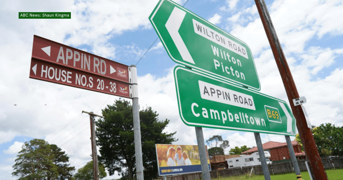 Securing Koala Survival: Appin Road Wildlife Crossings Fall Short, Urgent Need for Overpasses