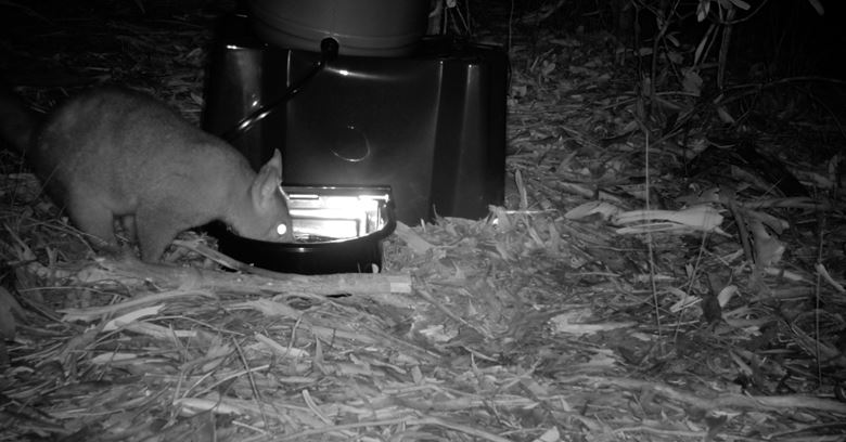Water Stations for Wildlife