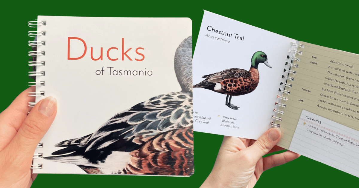 Feathers of Change: Native Duck Identification Project