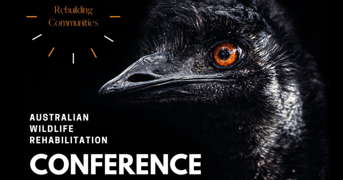 Highlights from the Australian Wildlife Rehabilitation Conference 2023