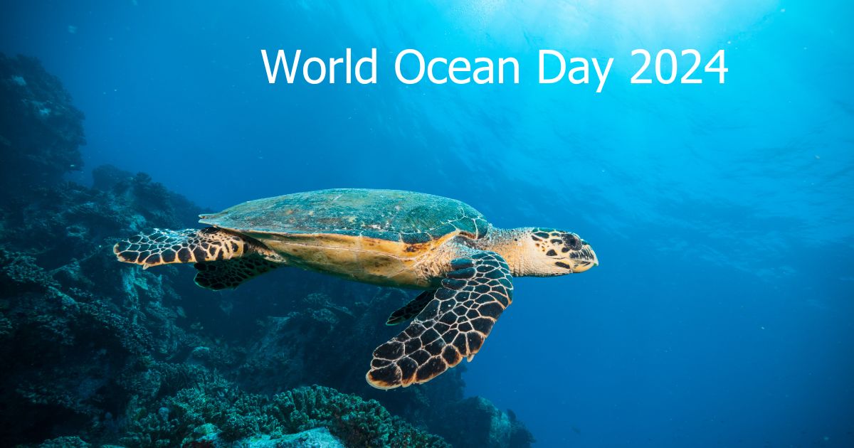 WIRES grant provides life-changing support for marine conservation