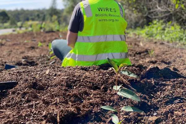 An ongoing food source for our native wildlife