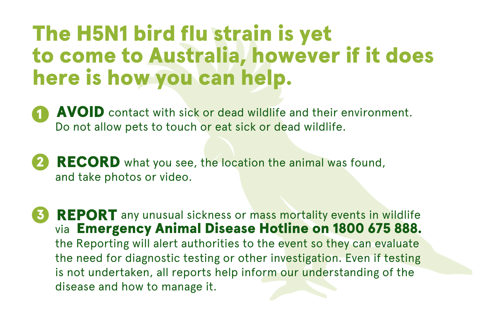 Being prepared is critical to reduce the wildlife impacts of a H5N1 outbreak in Australia 