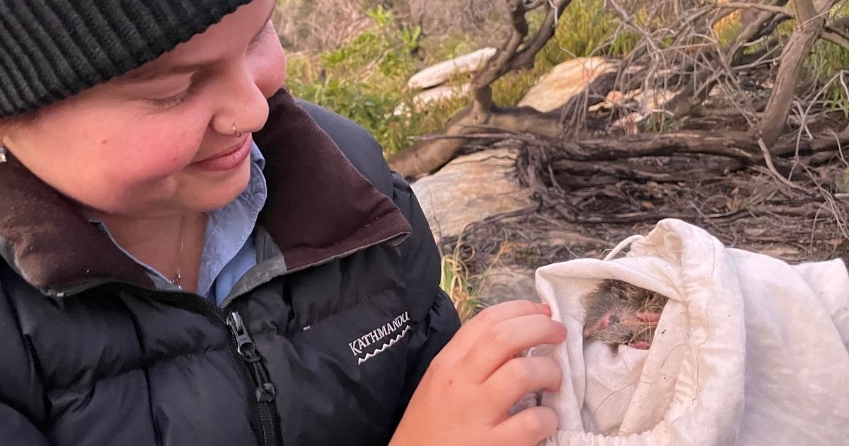 Celebrating Women in Science: The Journey of Holly, Wildlife Conservationist and WIRES Team Member 