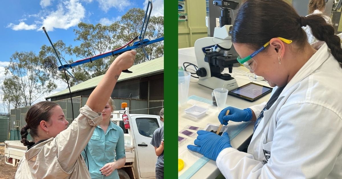 Celebrating Women in Science: The Journey of Holly, Wildlife Conservationist and WIRES Team Member 