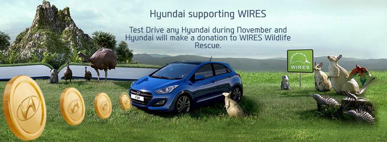 Take a Hyundai test drive today to make a difference