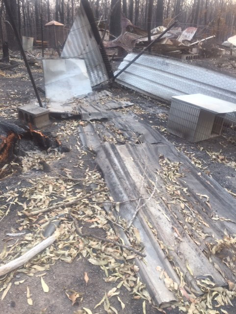 Bushfire recovery update: Mid North Coast Macropod Enclosure Construction