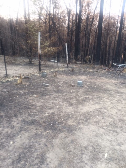 Bushfire recovery update: Mid North Coast Macropod Enclosure Construction