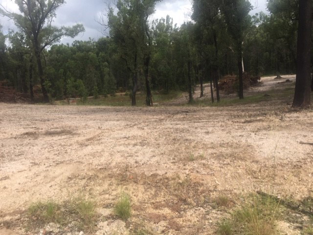 Bushfire recovery update: Mid North Coast Macropod Enclosure Construction