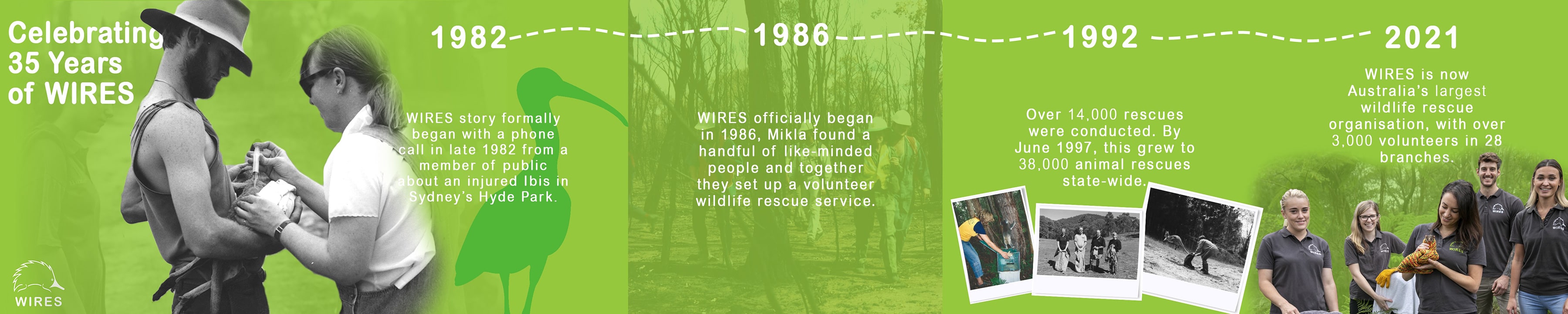 WIRES 35th Anniversary