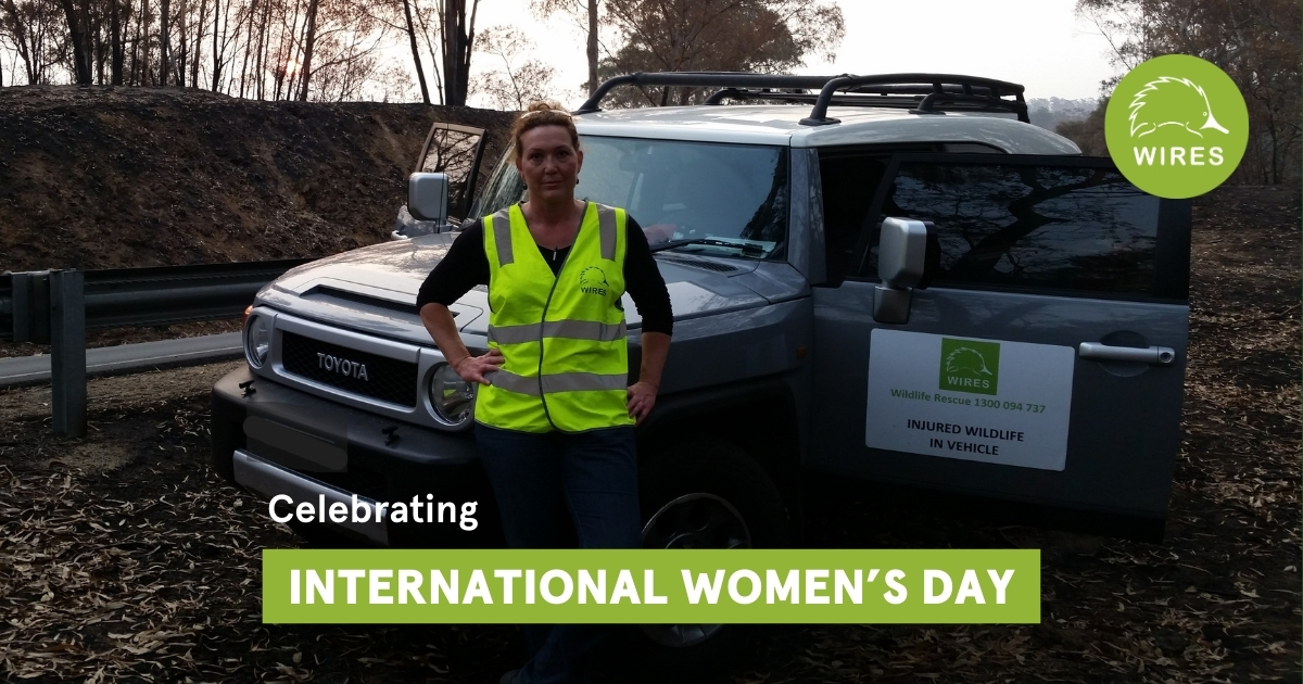 International Women’s Day Volunteer Spotlight: Shelley